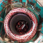 PHOTO-2020-06-18-09-42-04