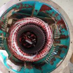 PHOTO-2020-06-18-14-41-50_1